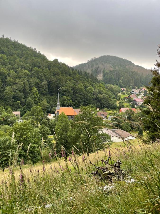 Gemütliches Apartment mit Kamin und Wohnküche Herzberg am Harz Exterior foto
