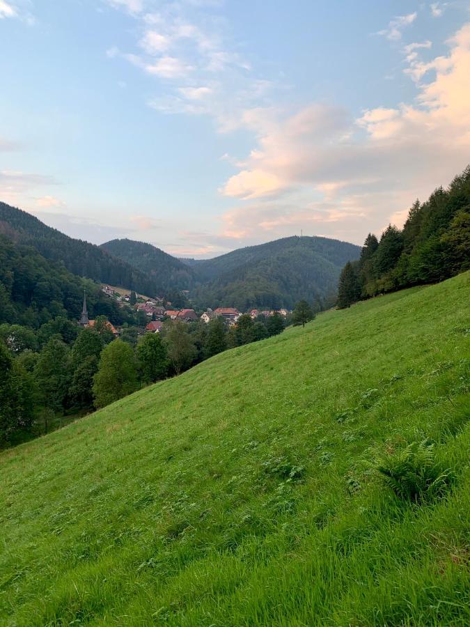 Gemütliches Apartment mit Kamin und Wohnküche Herzberg am Harz Exterior foto